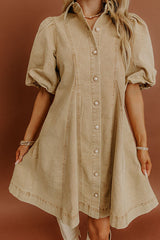 Chic Style Denim Mini Dress