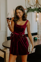 Twilight Toast Velvet Mini Dress in Merlot