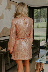 Dazzle Darling Sequin Mini Dress
