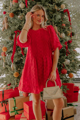 Chic Celebration Embroidered Mini Dress in Red