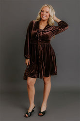 Luxe Gathering Velvet Mini Dress