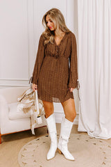 Darling Detail Embroidered Mini Dress in Chocolate