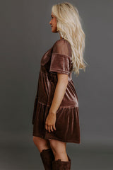Delicate Daze Velvet Mini Dress in Chocolate