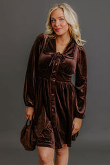 Luxe Gathering Velvet Mini Dress