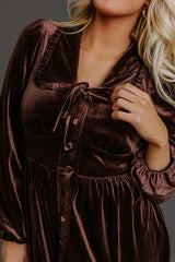 Luxe Gathering Velvet Mini Dress