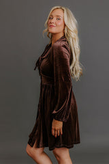 Luxe Gathering Velvet Mini Dress